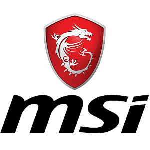 MSI