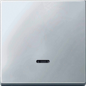 Клавиша с линзой Schneider Electric Merten SD скрытый монтаж, полярно-белый MTN438019