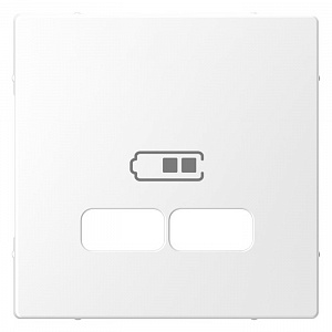Накладка на розетку USB Schneider Electric Merten D-Life скрытый монтаж, белый MTN4367-6035