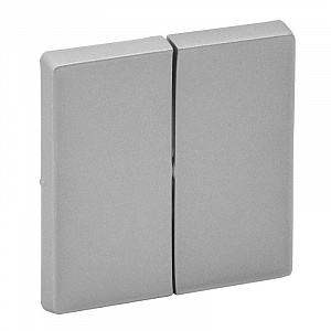 Панель лицевая Legrand Valena Life алюминий для двухклавишного выключателя 755022