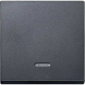 Клавиша с линзой Schneider Electric Merten SM скрытый монтаж, антрацит MTN431014